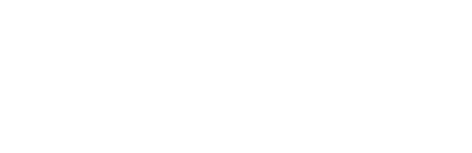 Experian transparent png logo white